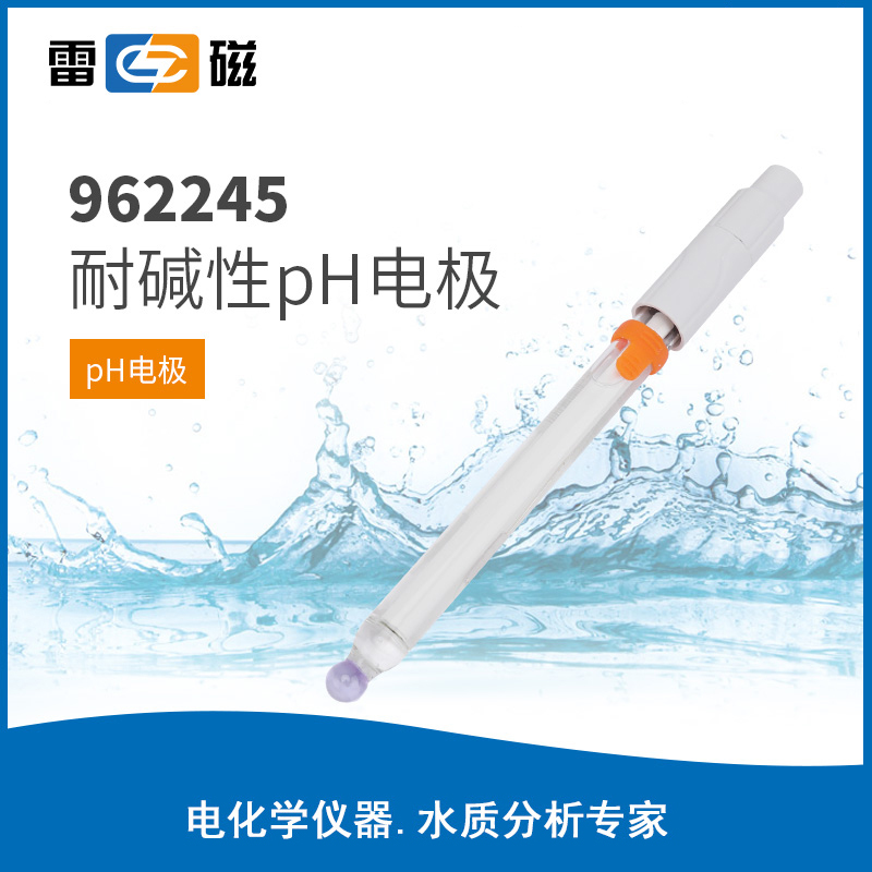 962245耐碱性pH电极