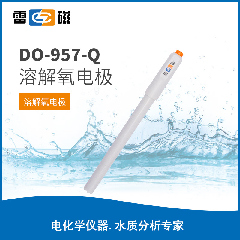 DO-957-Q型溶解氧电极